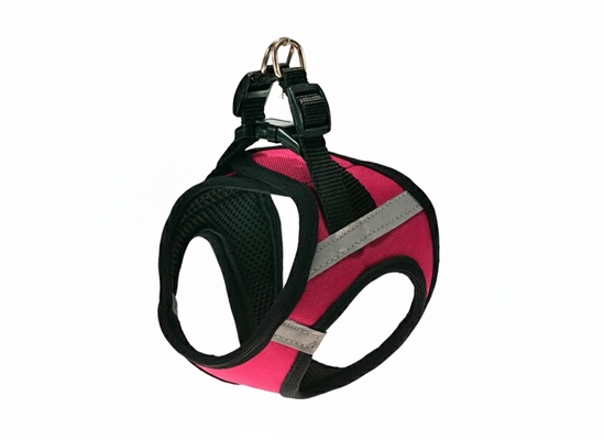 Arnes Comfort Liso Talla Xs